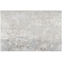 Beton Rose In 2 Grossen Nostalgie Gartendeko Shabby Chic Landhaus Rosen Blume