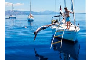 EVEREST'S TOYS Échelle de Corde Marine pour Bateau Bateau à Moteur Catamaran 4 Marches 7 Pieds | Échelle de Corde réfléchissante en Polyester | Échelles de Corde polyvalentes avec mousquetons