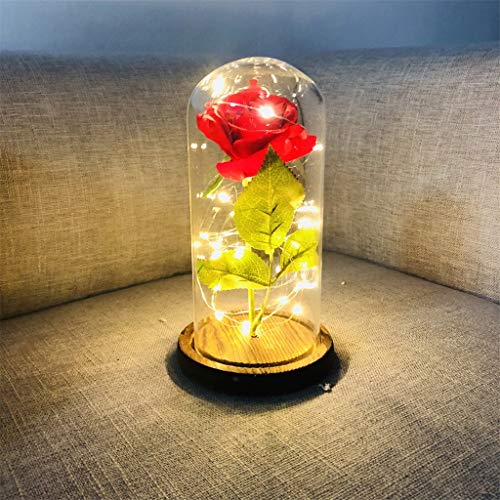 La Belle et la Bête Enchanted Rose, Élégant Dôme en Verre avec Lumières LED Pine Base,Beauty and Beast Magic Décor Cadeaux pour Saint Valentin Fête des Mères Anniversaire