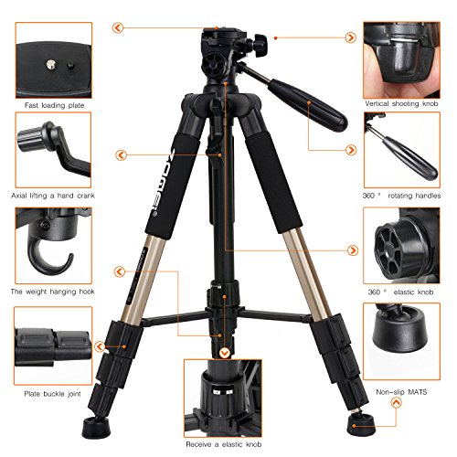 ZOMEI Q111 Tr  pied Appareil Photo Portatif L  ger Professionnel en Aluminium avec un sac de transport et D  gagement Rapide 1 4  pour Canon   Nikon   Sony et autres Reflex Num  riques Or 