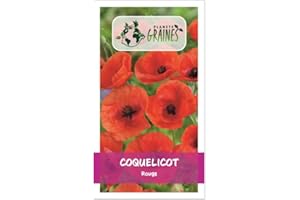 PLANETE GRAINES 1000 Graines Coquelicot Rouge - Pavot des Moissons - 60 cm et plus
