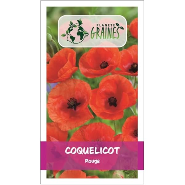 Infusion Anti Stress Bio 20 Sachets Bio Conseils Stress équilibre