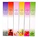 Warm Girl 6pc nail art cuticle oil treatment revitalize kit