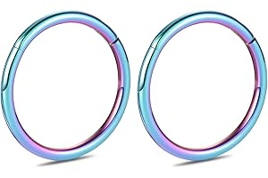 hengkaixuan 2Pcs G23 Titanium 20G 18G 16G 14G 12G 10G 8G Hinged Segment Ring Hoop Earrings Seamless Clicker Ring Cartilage Helix Lip Tragus Septum Nose Ring Hoop Sleeper Ring Body Piercing Jewellery