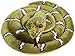 Produktbild venturelli 770709 plush snake average national geographic series by VENTURELLI