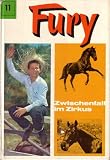 Cover zum Buch Fury