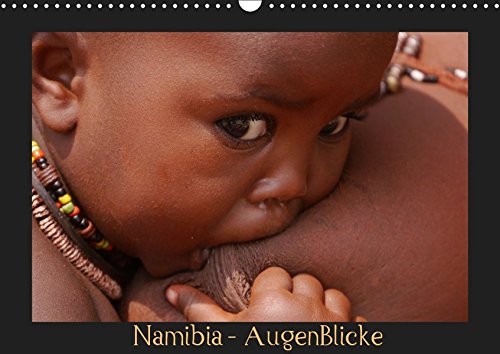 Namibia AugenBlicke (Wandkalender 2019 DIN A3 quer): Eine eindrucksvolle Reise durch die Landschaften und die Tierwelt Namibias (Monatskalender, 14 Seiten ) (CALVENDO Orte)