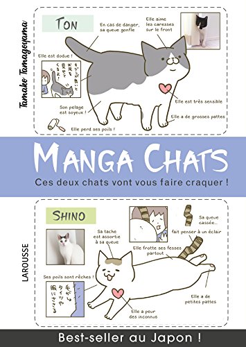 Manga chats francais Manga chats francais