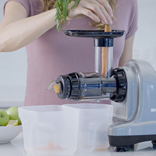 BioChef Axis Slow Juicer / Kaltpress Entsafter / Horizontaler Entsafter / Saftpresse – 150Watt & 60U/min – ideal für Weizengras, Obst & Gemüse - 6