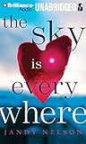 Cover zum Buch The Sky Is Everywhere