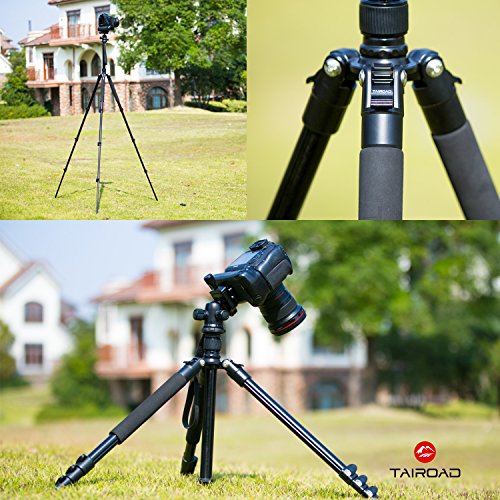 Tairoad Q555 tr  pied pour appareil photo - Tr  pied de voyage ultra l  ger en aluminium 158 8 cm avec verrouillage de jambe    rabat et    360    Ball Head - Support stable pour appareil photo Canon EOS Nikon Sony DSLR - Noir