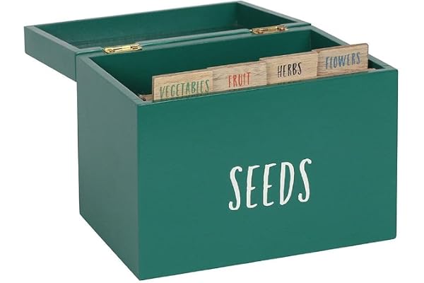 SDF Boîte, Bois, Vert