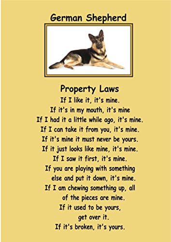 magnetsandhangers German Shepherd - Gloss A2 or A4 print - Property Laws (a4 21cm x 29.7cm)