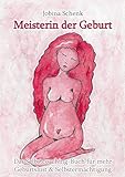 Image de Meisterin der Geburt: Das Selbstcoaching-Buch für mehr Geburtslust & Selbstermächtigung