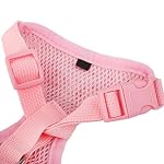UEETEK-Motivi-floreali-piccoli-piccolo-cane-cinturino-pettorale-con-guinzaglio-piombo-taglia-M-rosa