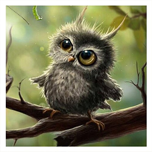 Diamant 3D Malerei Kreuz Stich 5D Diamant Stickerei Owl Mosaik Harzdekor DIY Malerei 30 * 30CM