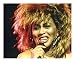Produktbild Tina Turner Signiert Autogramme 21cm x 29.7cm Plakat Foto