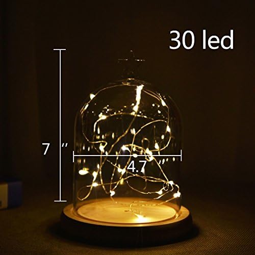 Agywell Glass Dome Lamp Bell Jar Display Dome wooden Base Battery Operated LED Fairy Light ideal for Decoration Anywhere. (30LED)
