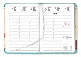 Image de Alpha Edition Ladytimer 170827 Agenda per Anno 2017
