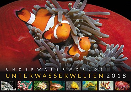 Unterwasserwelten 2018: Underwater Worlds 2018