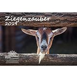 Ziegenzauber · DIN A4 · Premium Kalender 2019 · Ziege · Ziegen · Zicklein · Bauernhof · Natur · Tiere · Edition Seelenzauber
