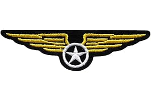 TOPT MILI ecusson aile avion aviateur us air force pilote moto usa aviateur thermocollant 9,5x3cm patche badge skull crane moto biker 8x6cm patche insigne