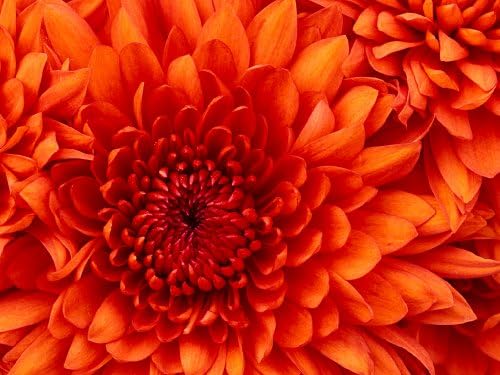 test765