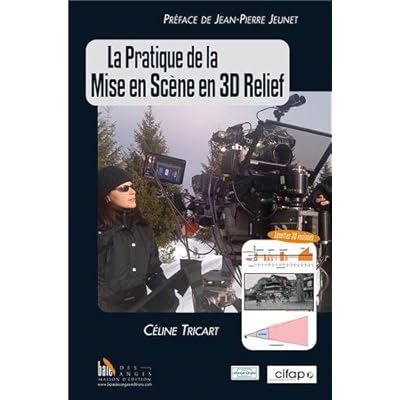 La pratique de la mise en scène en 3D relief