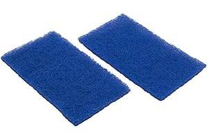 Hayward RCX70103PAK2 Lot de 2 filtres de nettoyage à ressort pour robots Tigershark et SharkVac