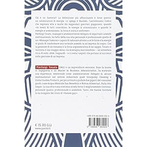 Samurai manager. La montagna inaccessibile