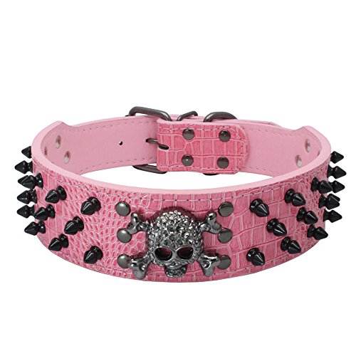 Dogs Kingdom 20 26 Length Cool Black Skull Charm Black