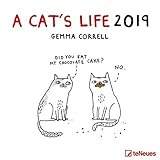 A Cat's Life 2019 - Broschürenkalender, Wandkalender, Katzenkalender - 30 x 30 cm by 
