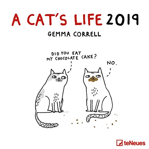 A Cat's Life 2019 - Broschürenkalender, Wandkalender, Katzenkalender - 30 x 30 cm