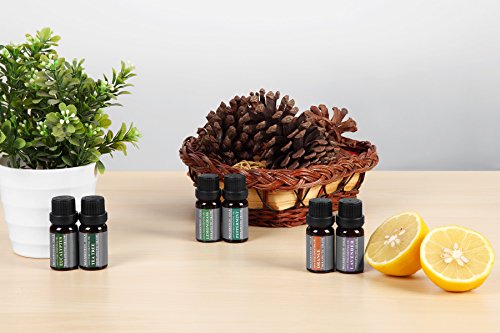 Die Top 6 Aromatherapie Öle – 100% reine ätherische Öle in einem Geschenkset 6 x 10 ml von WASSERSTEIN (Lavendel, Teebaum, Eukalyptus, Zitronengras, Orange, Pfefferminze) - 3