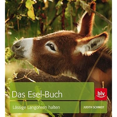 Download Das Esel Buch Lassige Langohren Halten Pdf Ywainsinclair