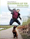 Image de Begegnungen auf dem Pfoten-Pfad: Aus der Arbeit eines Mentalcoaches für Hundhalter