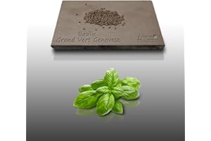 LE GRENIER D'ABONDANCE LES GRAINES QUI DONNENT ENVIE 300 graines Aromatiques à semer - Le Grenier d'Abondance - BASILIC Grand Vert Genovese - Ocimum basilicum var. Genovese