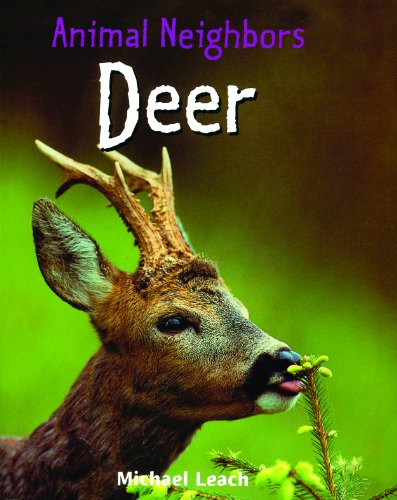 Deer