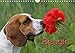 Beagle (Wandkalender 2018 DIN A4 quer): Liebenswerte Schlappohren (Monatskalender, 14 Seiten ) (CALVENDO Tiere) [Kalender] [Apr 01, 2017] / Antje Lindert-Rottke + Martina Berg, Pferdografen.de by 