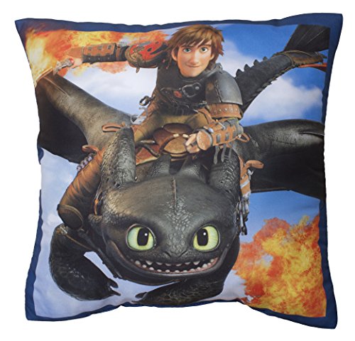 Dreamworks Dragons Zahnlos Kissen 40cm x 40cm