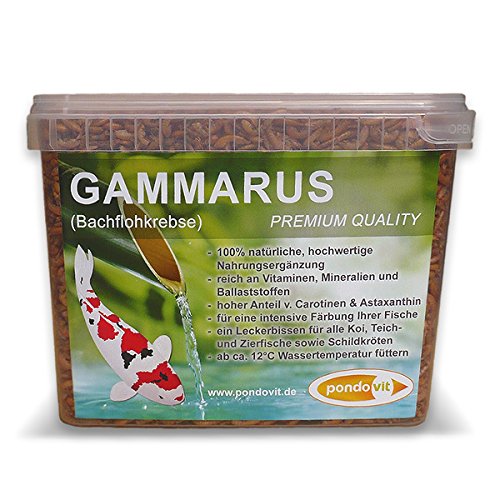Gammarus (Bachflohkrebse) pondovit - Premiumsnack 2400 ml - Koi Leckerbissen