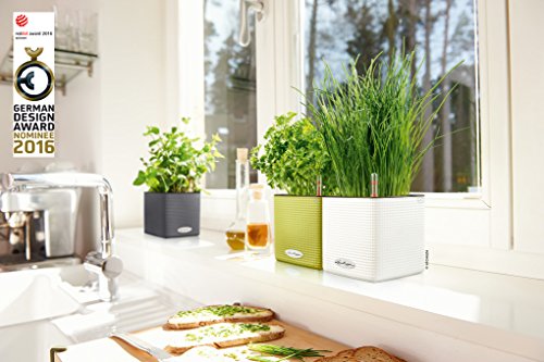 Cube Color 14 Komplettset limettengrün 13385 - 3
