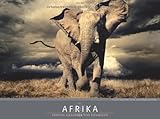 Afrika 2013 by 