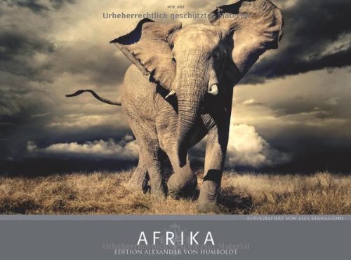 Afrika 2013