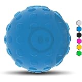 sphero mini cases
