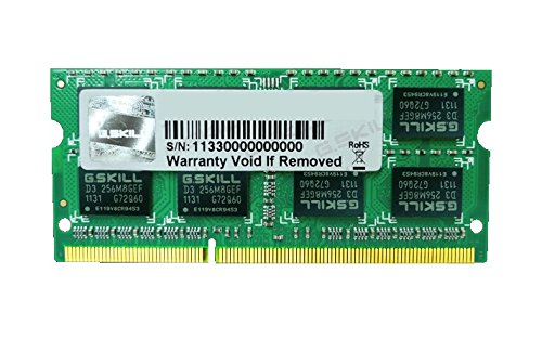 G.SKILL2GB DDR3-1066 SQ MAC memory module 1066 MHz