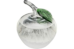 Venus valink Storm Glass Weather Forecaster Weather Station, Barometer Weather Predictor Water Bottle Base Christmas Table for Home Office Desktop Decoration