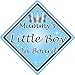 Price comparison product image Non Personalised Child/Baby On Board Car Sign ~ Mummys Little Boy ~ L.Blue
