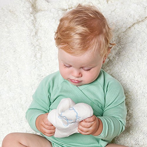 Grünspecht Traubenkern-Wolke - 4