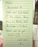 Image de Dead Inside Do Not Enter: Notes from the Zombie Apocalypse: A Lost Zombies Book